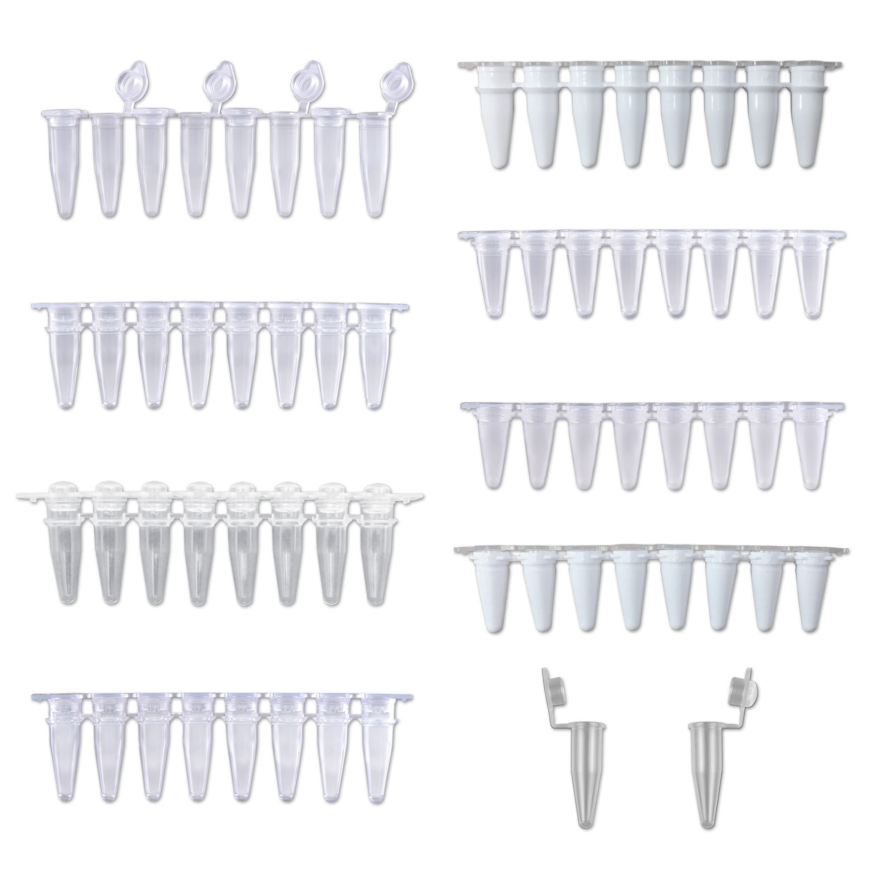 PureAmp PCR Tubes Strips Caps MTC Bio