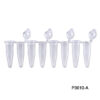 Pure•Amp™ PCR Tubes, Strips & Caps - Image 3