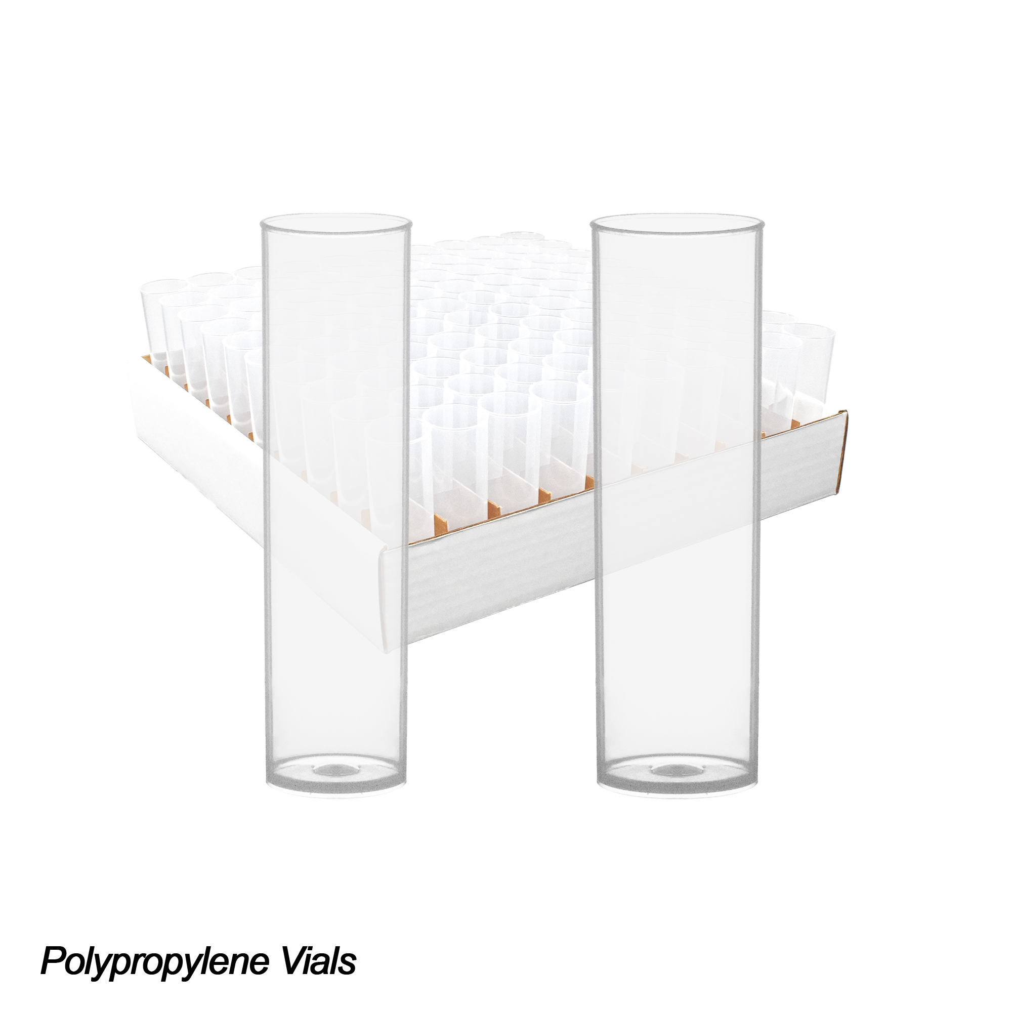 Drosophila Vials - Image 2