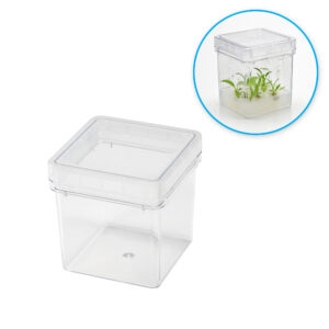Plant Culture Boxes